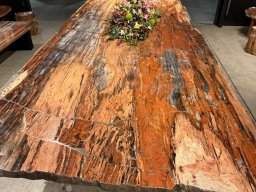 Designation of slabs 1 A Petrified Gem-Grade Rainbow table.